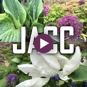 JACC - Bourbansais